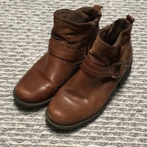 Earth Origins by earth